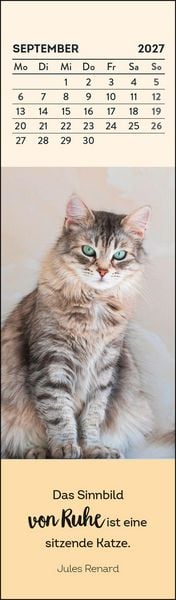 Produktbild: Lesezeichenkalender 2027: Katzenfreunde