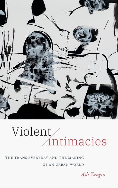 Produktbild: Violent Intimacies