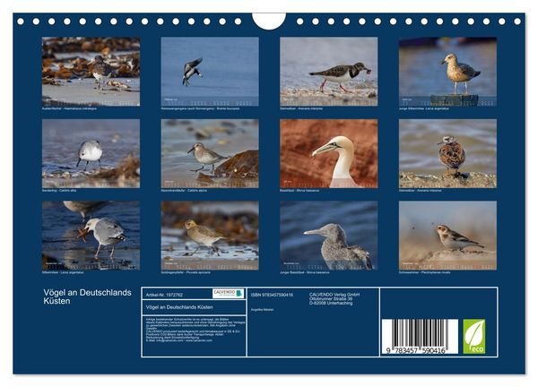 Produktbild: V&ouml;gel an Deutschlands K&uuml;sten (Wandkalender 2026 DIN A4 quer), CALVENDO Monatskalender