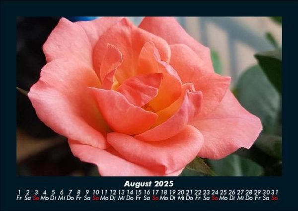 Produktbild: Rosentraum 2025 Fotokalender DIN A5
