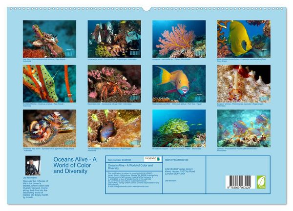 Produktbild: Oceans Alive - A World of Color and Diversity (High Quality Premium Wall Calendar 2027 DIN A2 landscape),CALVENDO 12 Month Wall Calendar