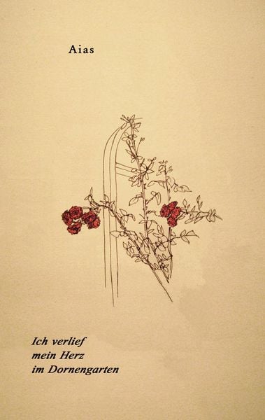 Produktbild: Ich verlief mein Herz im Dornengarten