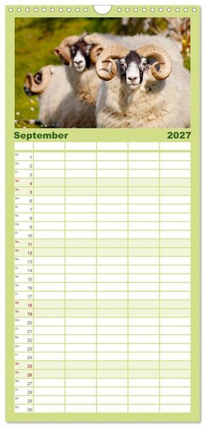 Produktbild: Familienplaner 2027 - Unter Schafen - Wegbegleiter auf Reisen mit 5 Spalten (Wandkalender, 21 x 45 cm) CALVENDO