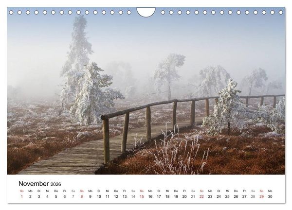 Produktbild: Die Rh&ouml;n (Wandkalender 2026 DIN A4 quer), CALVENDO Monatskalender