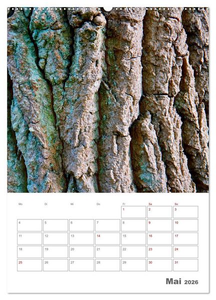 Produktbild: Planen mit dem Symbol der inneren St&auml;rke (Wandkalender 2026 DIN A2 hoch), CALVENDO Monatskalender