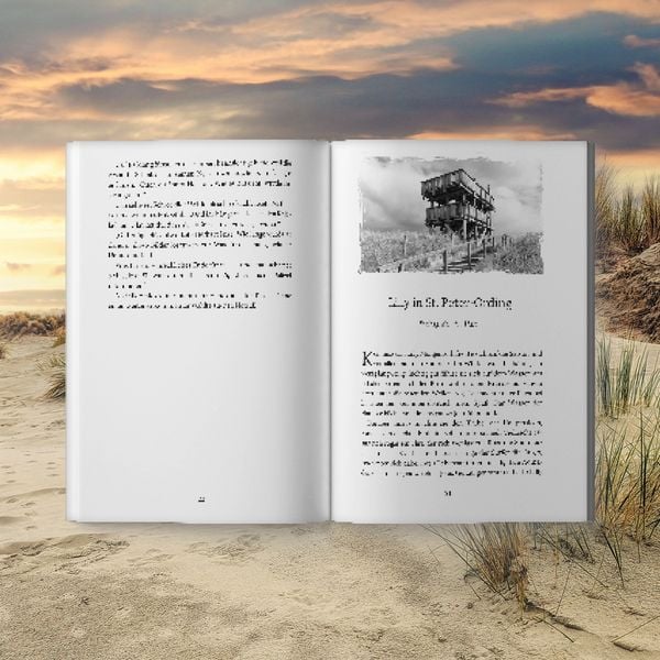 Produktbild: Gl&uuml;hender Neid in St. Peter-Ording