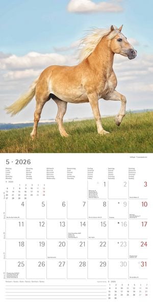 Produktbild: Pferde 2026 - Broschürenkalender 30x30 cm (30x60 geöffnet) - Kalender mit Platz für Notizen - Horses - Bildkalender - Wandplaner - Pferdekalender