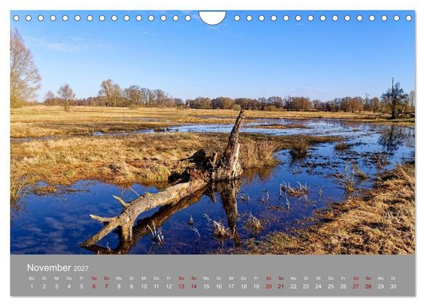 Produktbild: Naturerlebnis im Biosph&auml;renreservat Dr&ouml;mling (Wandkalender 2027 DIN A4 quer), CALVENDO Monatskalender