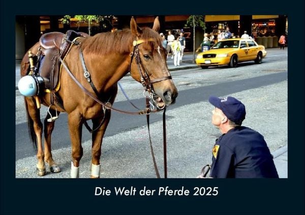 Produktbild: Die Welt der Pferde 2025 Fotokalender DIN A4