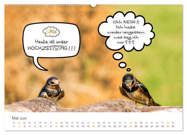 Produktbild: Wenn Schwalben reden (Wandkalender 2026 DIN A2 quer), CALVENDO Monatskalender