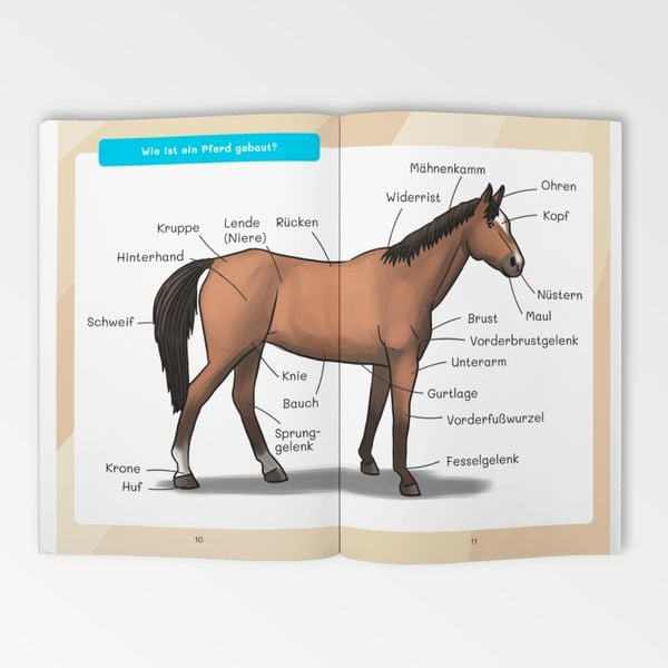 Produktbild: Lexikon f&uuml;r Erstleser