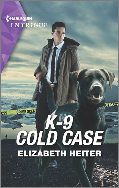 Produktbild: K-9 Cold Case