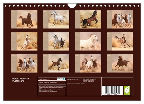Produktbild: Pferde. Araber im W&uuml;stensand (Wandkalender 2026 DIN A4 quer), CALVENDO Monatskalender