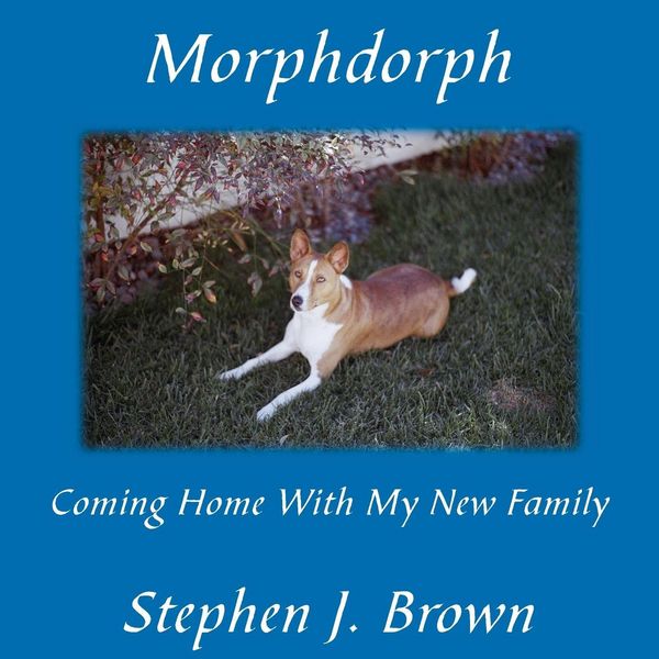 Produktbild: Morphdorph