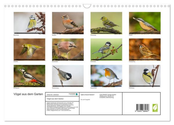 Produktbild: V&ouml;gel aus dem Garten (Wandkalender 2026 DIN A3 quer), CALVENDO Monatskalender