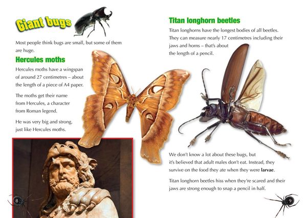Produktbild: Zombie Wasps