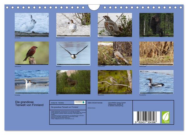 Produktbild: Die grandiose Tierwelt von Finnland (Wandkalender 2026 DIN A4 quer), CALVENDO Monatskalender