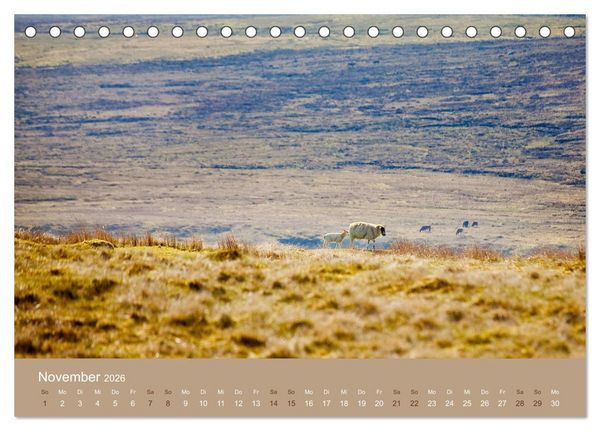 Produktbild: Unter Schafen - Wegbegleiter auf Reisen (Tischkalender 2026 DIN A5 quer), CALVENDO Monatskalender