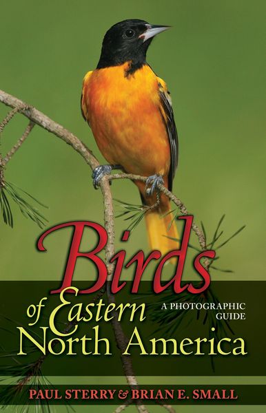 Produktbild: Birds of Eastern North America