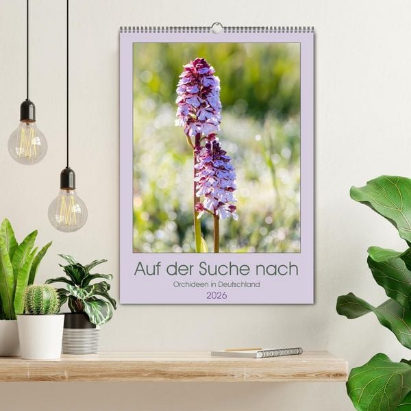 Produktbild: Auf der Suche nach Orchideen in Deutschland (Wandkalender 2026 DIN A2 hoch), CALVENDO Monatskalender