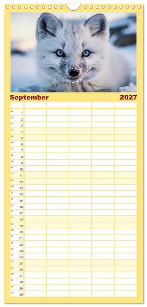Produktbild: Familienplaner 2027 - Babys der Wildnis mit 5 Spalten (Wandkalender, 21 x 45 cm) CALVENDO