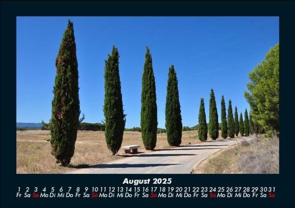 Produktbild: B&auml;ume 2025 Fotokalender DIN A5