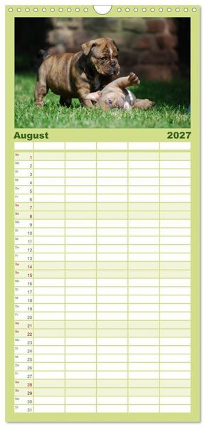 Produktbild: Familienplaner 2027 - Bulldoggen-Kinder mit 5 Spalten (Wandkalender, 21 x 45 cm) CALVENDO