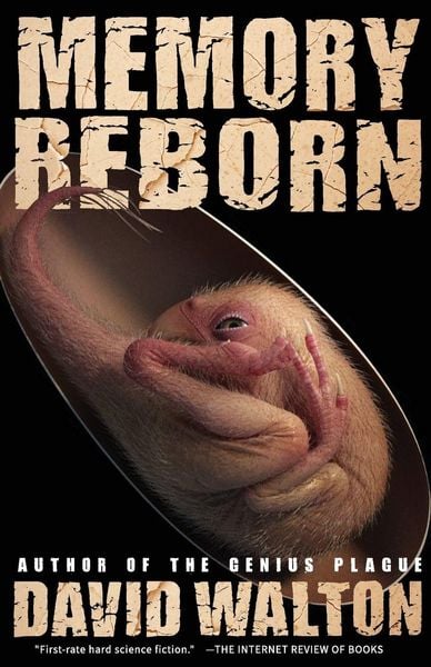 Produktbild: Memory Reborn