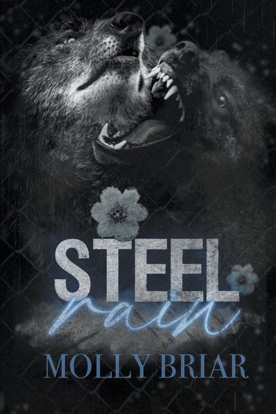 Produktbild: Steel Rain