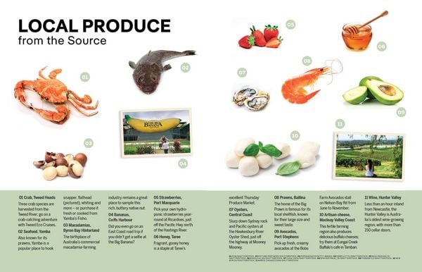 Produktbild: Lonely Planet Experience East Coast Australia