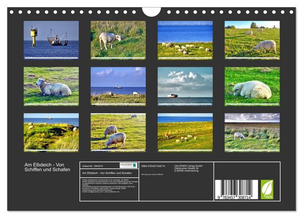 Produktbild: Am Elbdeich - Von Schiffen und Schafen (Wandkalender 2026 DIN A4 quer), CALVENDO Monatskalender