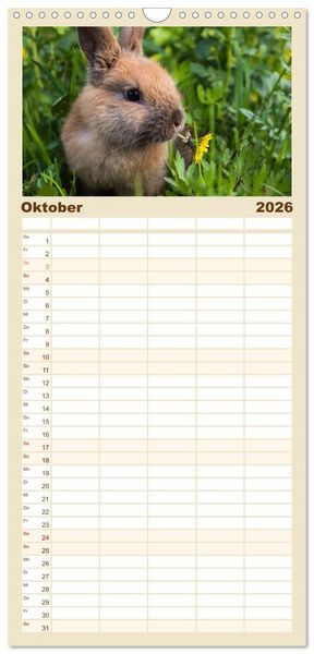 Produktbild: Familienplaner 2026 - Hasen - Die niedlichen Hoppeltiere. mit 5 Spalten (Wandkalender, 21 x 45 cm) CALVENDO