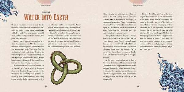 Produktbild: Maia Toll's Wild Wisdom Companion