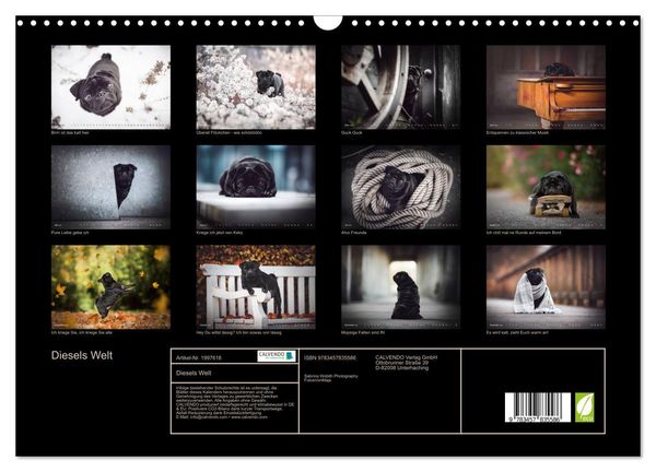 Produktbild: Diesels Welt (Wandkalender 2026 DIN A3 quer), CALVENDO Monatskalender