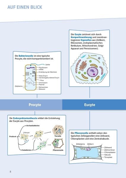 Produktbild: Klett Sicher im Abi Oberstufen-Wissen Biologie