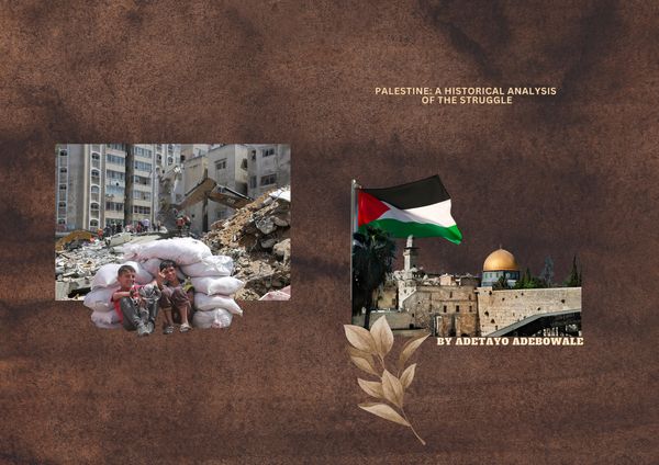 Produktbild: Palestine: A Historical Analysis of the Struggle