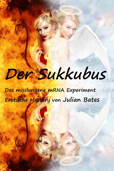 Produktbild: Der Sukkubus