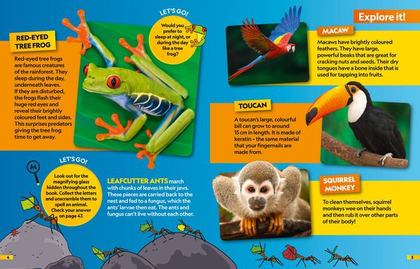 Produktbild: Animals Find it! Explore it!