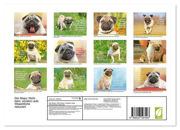 Produktbild: Der Mops: Nicht klein, sondern aufs Wesentliche reduziert. (Wandkalender 2026 DIN A4 quer), CALVENDO Monatskalender