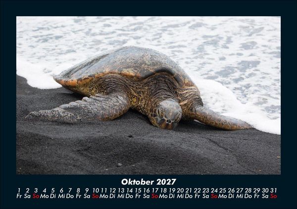 Produktbild: Schildkr&ouml;tenzauber 2027 Fotokalender DIN A5