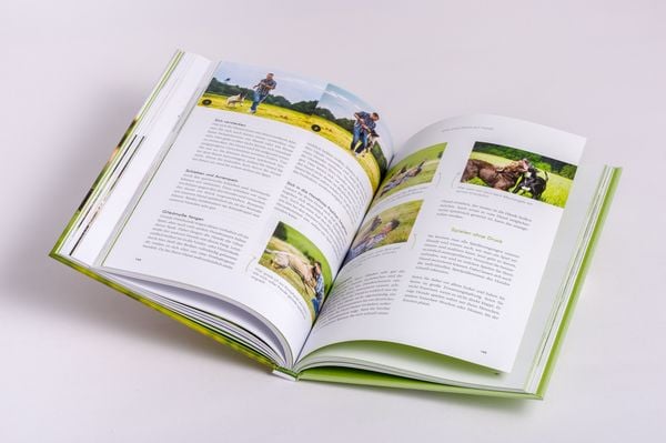 Produktbild: Artgerechte Hundeerziehung