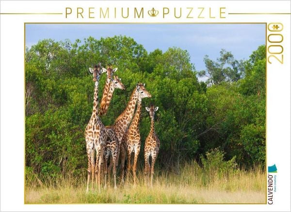 CALVENDO Puzzle Südafrikanische Giraffen, Okavango Delta, Botswana. | 2000 Teile Lege-Größe 90x67cm Foto-Puzzle für glückliche Stunden
