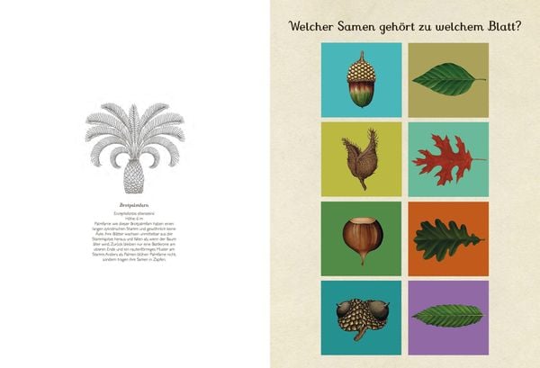 Produktbild: Das Museum der Pflanzen. Mein Mitmachbuch