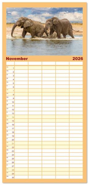 Produktbild: Familienplaner 2026 - Action in der Savanne mit 5 Spalten (Wandkalender, 21 x 45 cm) CALVENDO