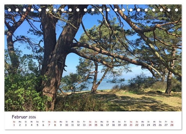Produktbild: Natur und Landschaft Mecklenburg - Vorpommern 2026 (Tischkalender 2026 DIN A5 quer), CALVENDO Monatskalender