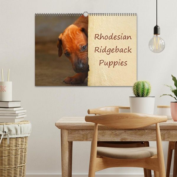 Produktbild: Rhodesian Ridgeback Puppies (Wall Calendar 2026 DIN A3 landscape), CALVENDO 12 Month Wall Calendar