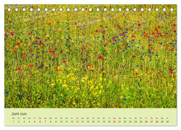 Produktbild: Wilde Blumen - ein Spaziergang durch die Natur (Tischkalender 2026 DIN A5 quer), CALVENDO Monatskalender