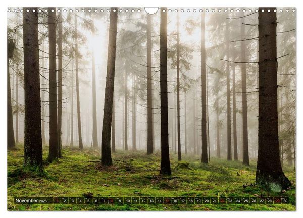 Produktbild: Zauberhaftes Fichtelgebirge (Wandkalender 2026 DIN A3 quer), CALVENDO Monatskalender