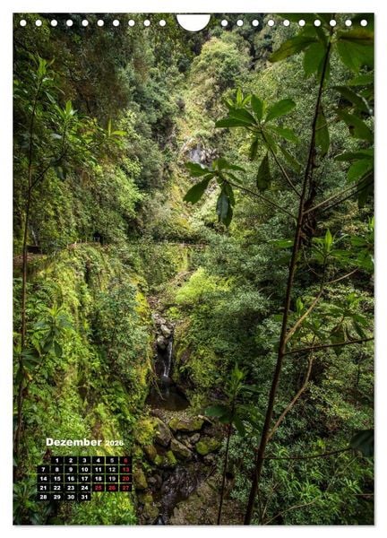 Produktbild: Levadas - Wasserwege auf Madeira (Wandkalender 2026 DIN A4 hoch), CALVENDO Monatskalender