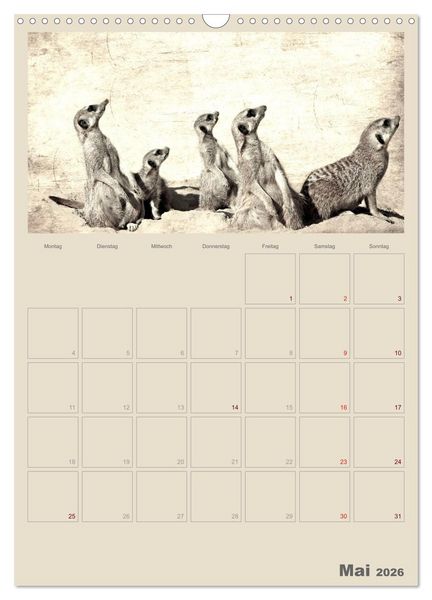 Produktbild: Lustige Erdm&auml;nnchen (Wandkalender 2026 DIN A3 hoch), CALVENDO Monatskalender